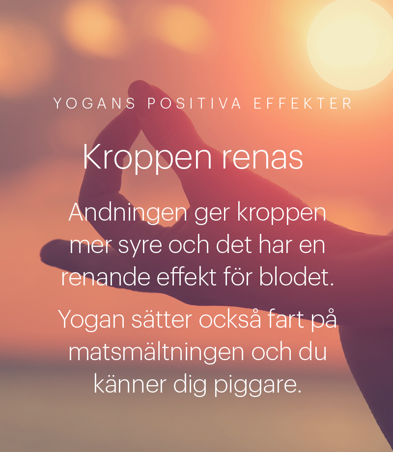 Yogans-POSITIVA-EFFEKTER-kroppen-renas Yogashala_Yogans positiva effekter