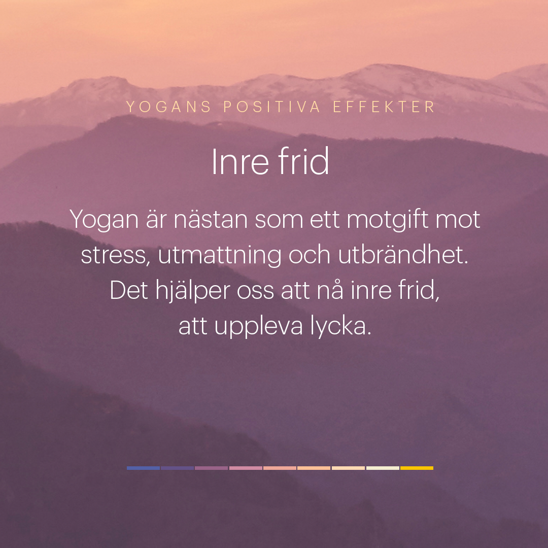 positiva-effekter-inrefrid-insta-2