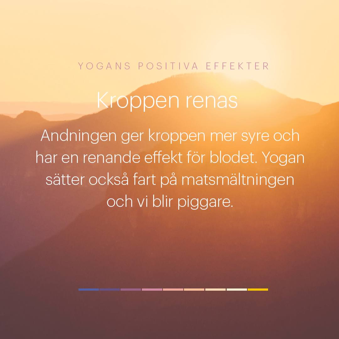 positiva-effekter-rening-insta-1