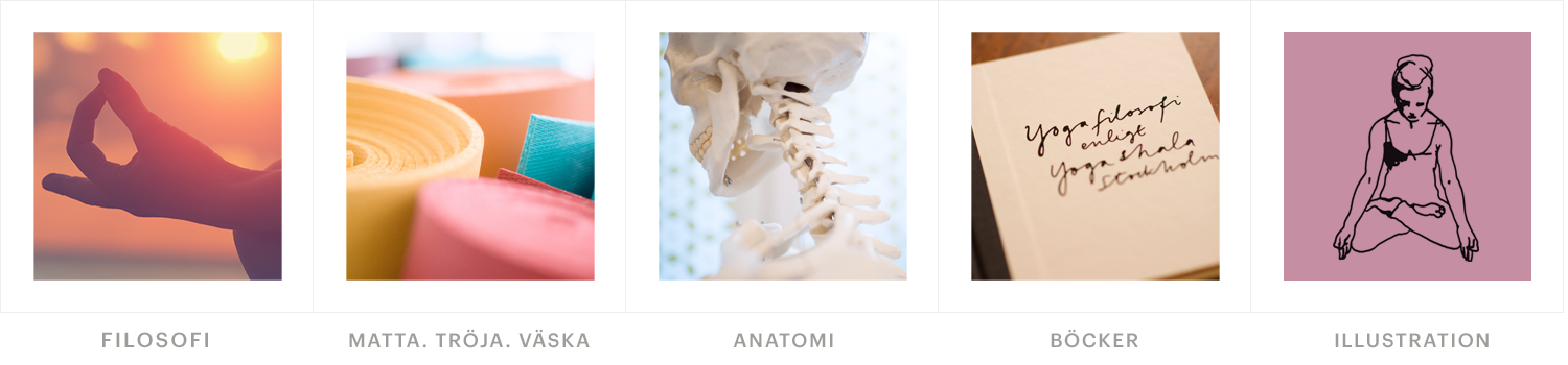 bilder-ashtanga-4-steg