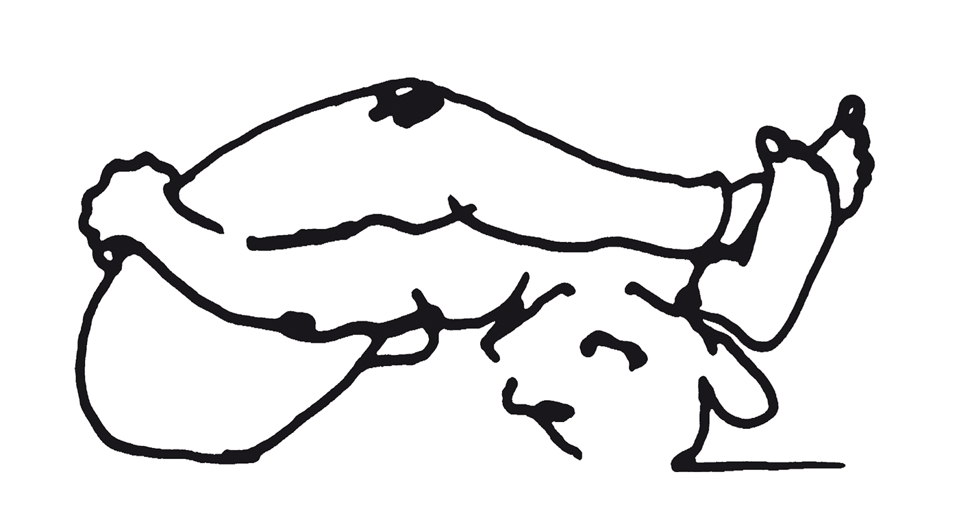 Suptakurmasana-Ashtanga-yoga-Mysore Supta kurmasana, Yogashala