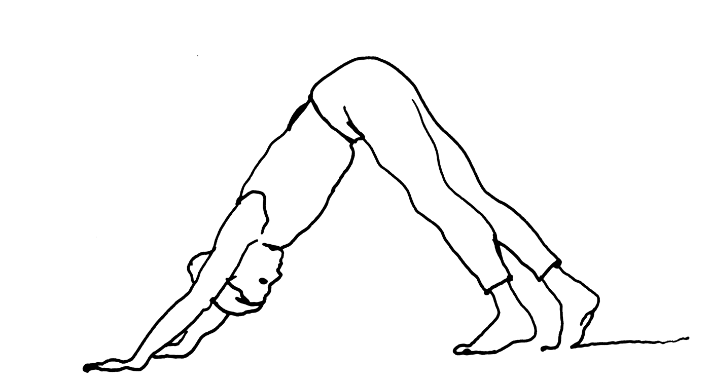 Yogashala_Ashtanga Yoga grundkurs Yogashala_Ashtanga Yoga grundkurs